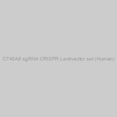 Image of CT45A6 sgRNA CRISPR Lentivector set (Human)